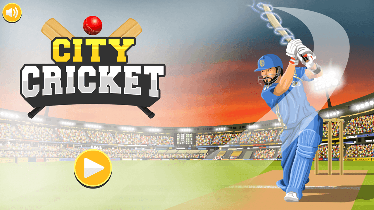 City Cricket
