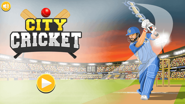 City Cricket