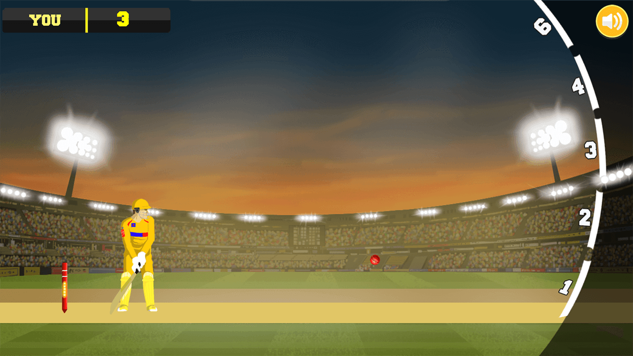 City Cricket