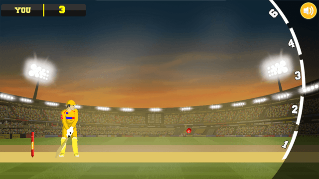 City Cricket