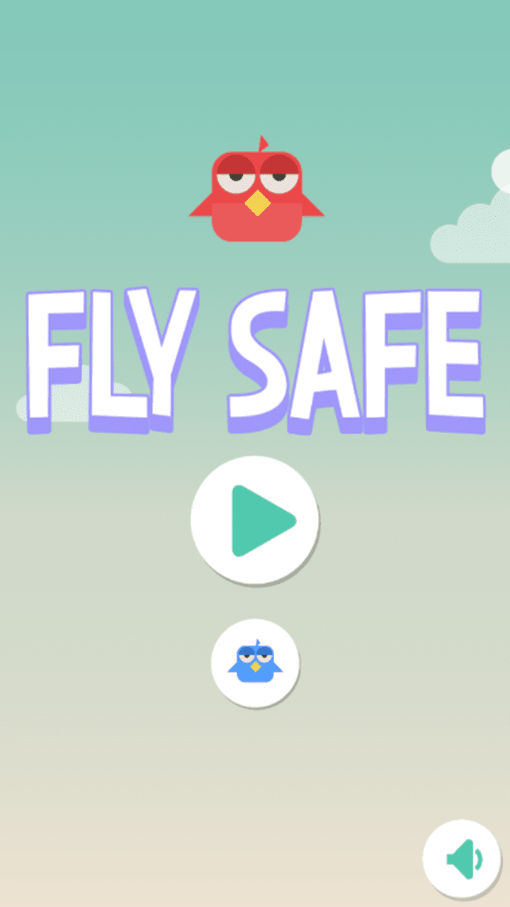 Fly Safe