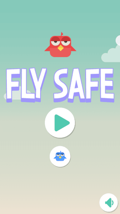 Fly Safe